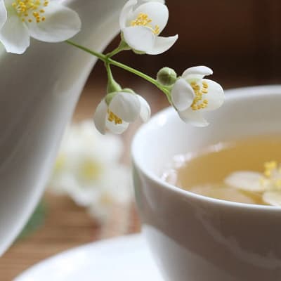 7 Health Benefits Of Jasmine Milk Tea | By Recipedev