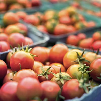 Invest In Food Security| A Priority As Inflation Bites In USA