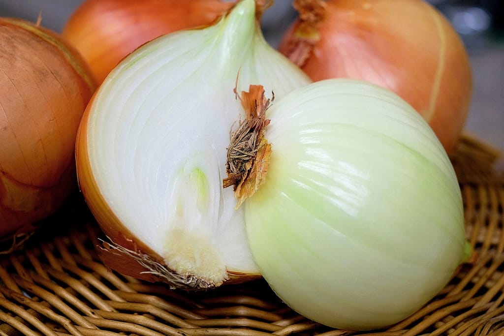 Are Onions A Vegetable Or A Fruit, Tell Me Why? | By Recipedev