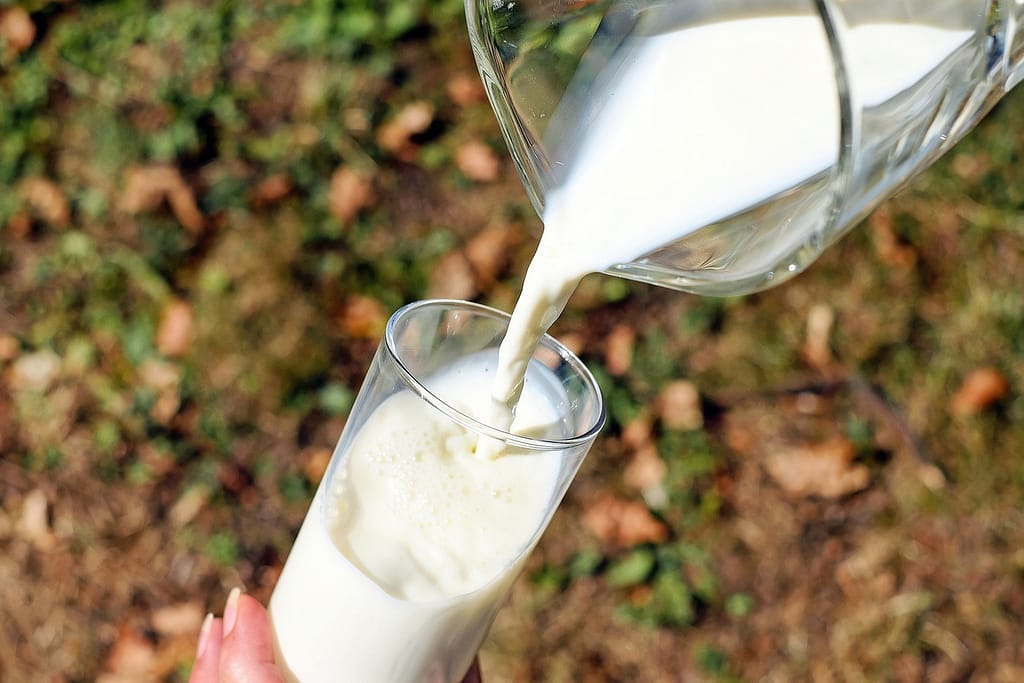 Too Much Dairy Consumption: Cause Of Prostate Cancer
