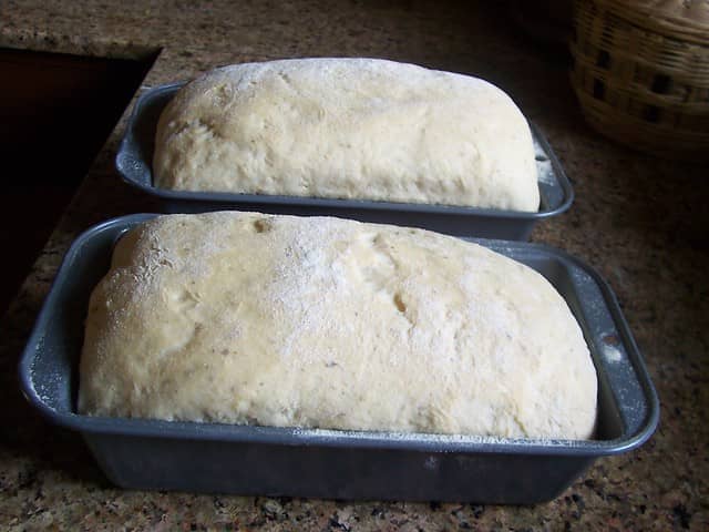 Potato Bread