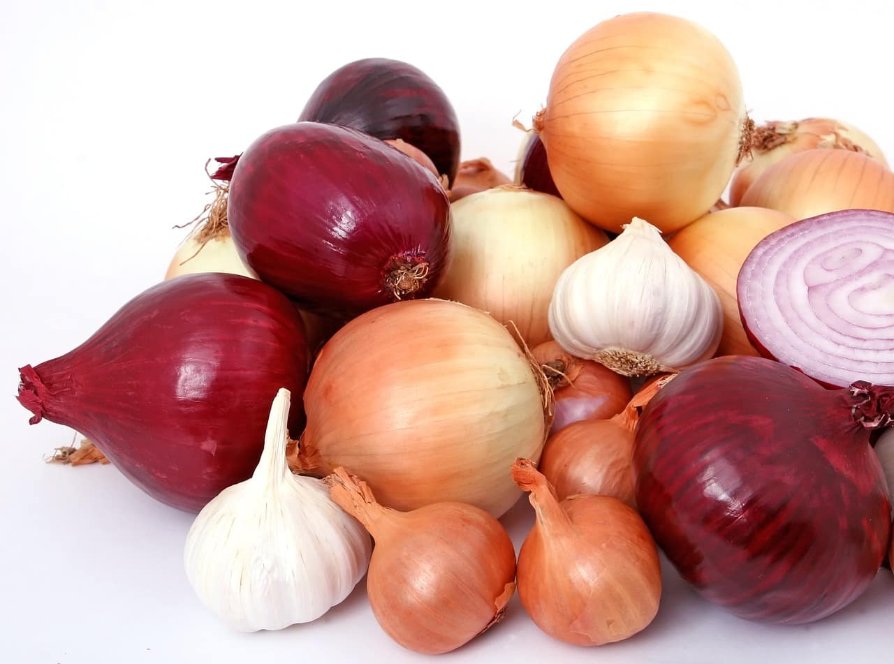 What Are Shower Onion Bathroom Onions Shower Orange Explained